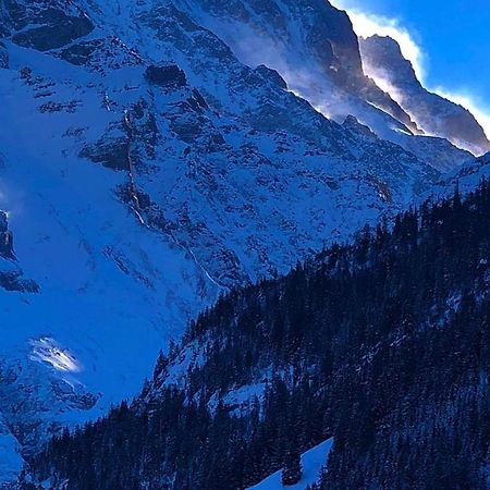 Romantisches Plaetzchen In Der Natur Grindelwald Zewnętrze zdjęcie