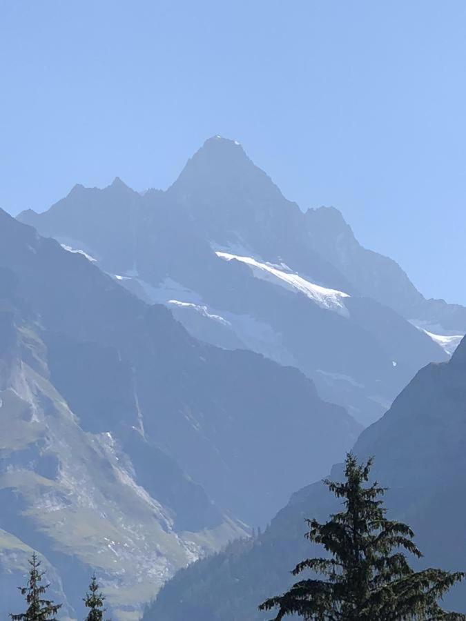 Romantisches Plaetzchen In Der Natur Grindelwald Zewnętrze zdjęcie