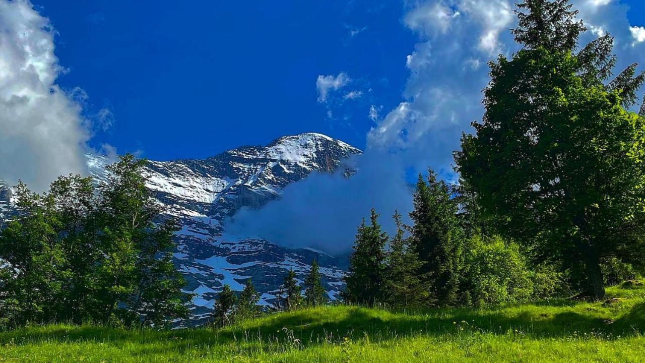 Romantisches Plaetzchen In Der Natur Grindelwald Zewnętrze zdjęcie