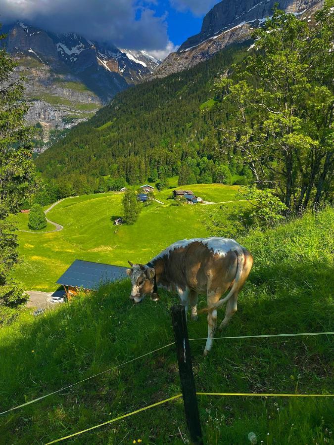 Romantisches Plaetzchen In Der Natur Grindelwald Zewnętrze zdjęcie