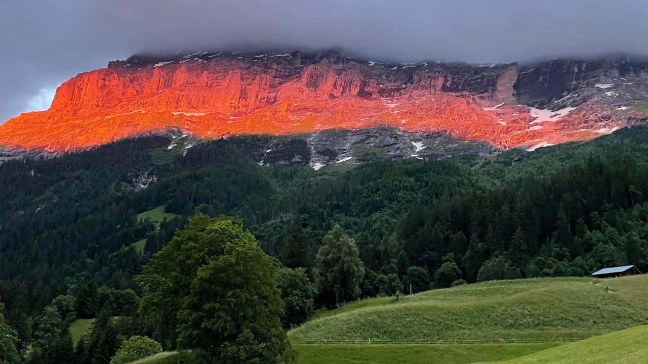 Romantisches Plaetzchen In Der Natur Grindelwald Zewnętrze zdjęcie