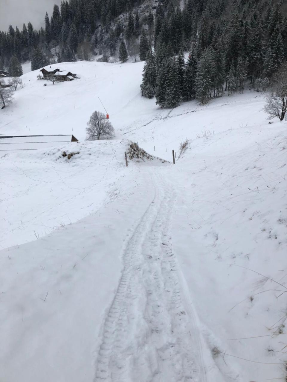 Romantisches Plaetzchen In Der Natur Grindelwald Zewnętrze zdjęcie