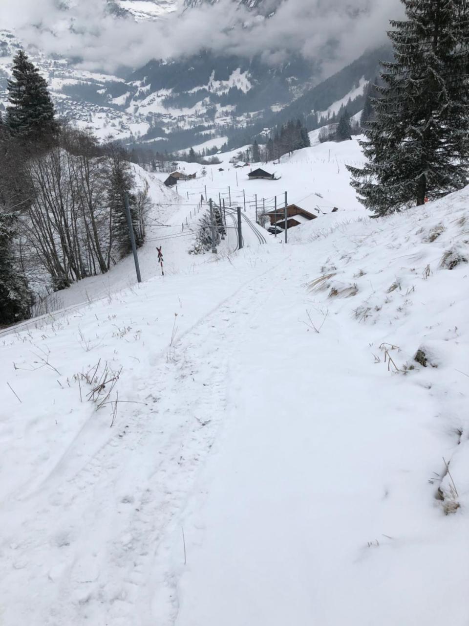 Romantisches Plaetzchen In Der Natur Grindelwald Zewnętrze zdjęcie