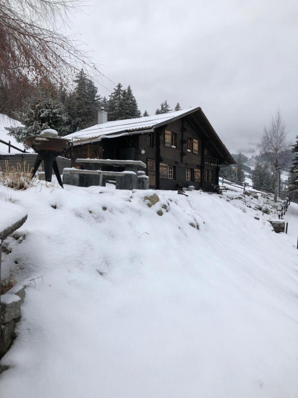 Romantisches Plaetzchen In Der Natur Grindelwald Zewnętrze zdjęcie