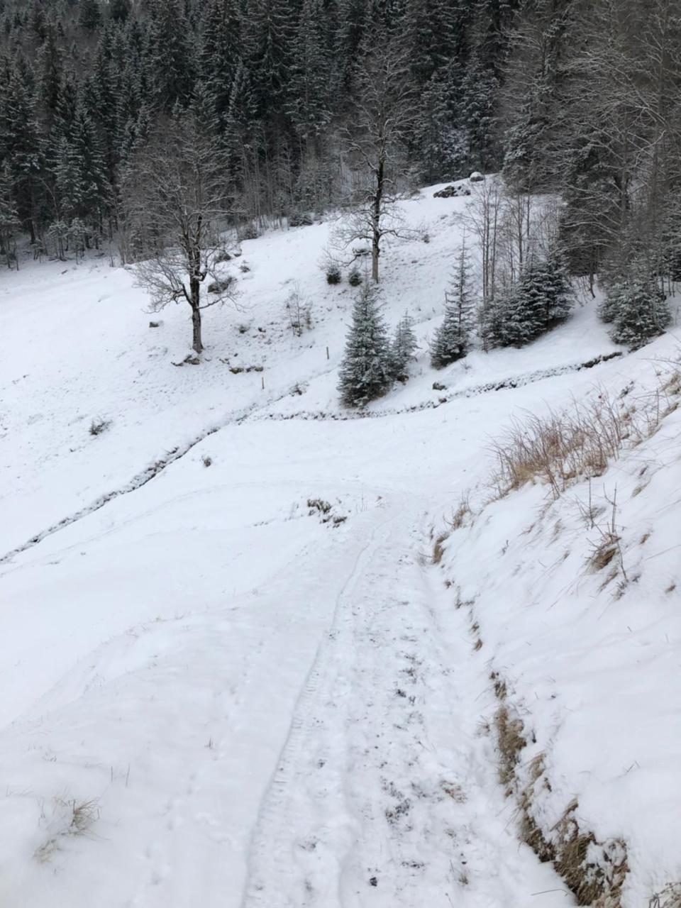 Romantisches Plaetzchen In Der Natur Grindelwald Zewnętrze zdjęcie